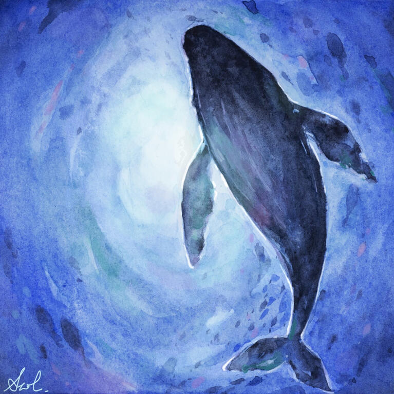 Whale