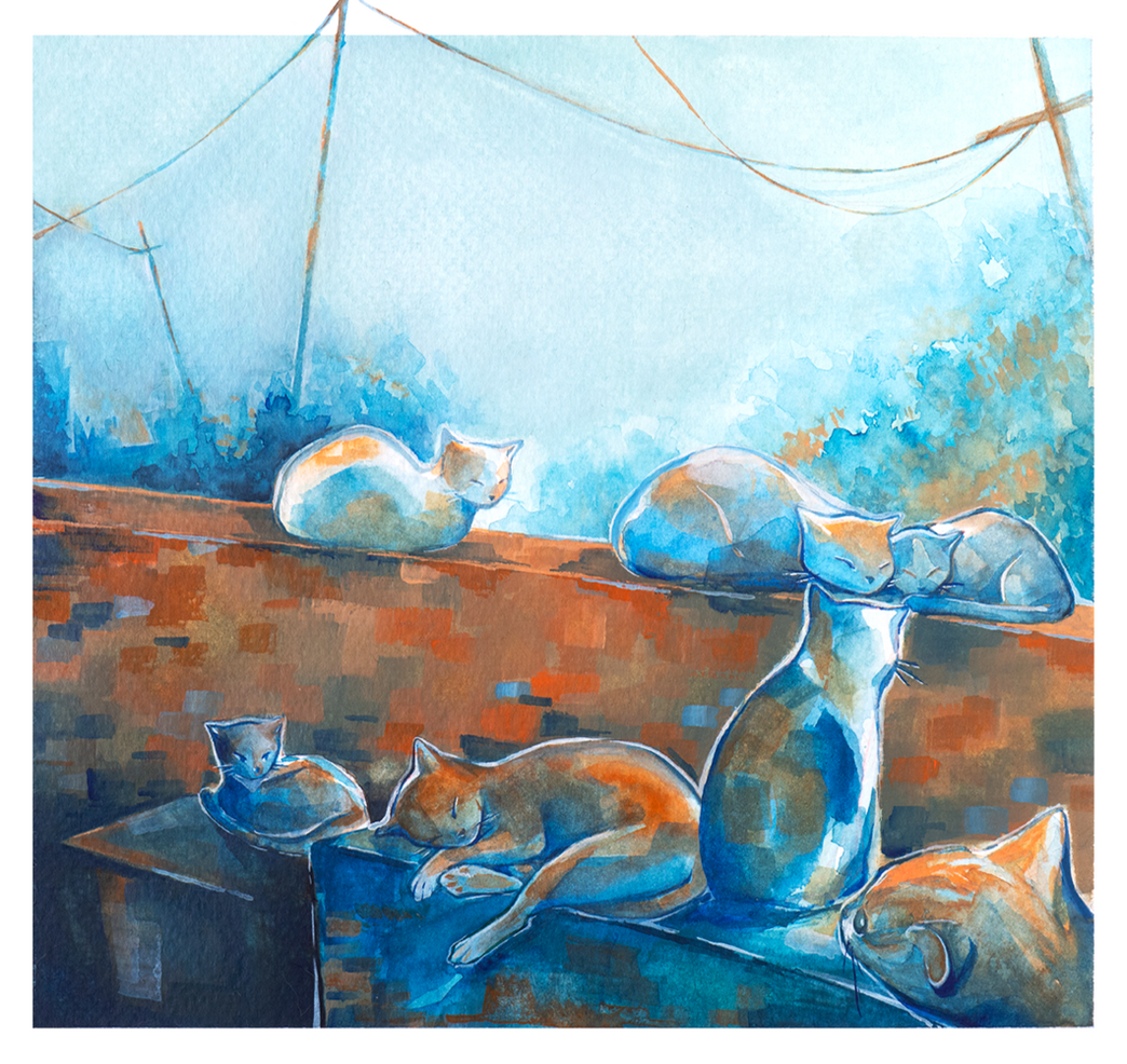 Stray Cat Blues
