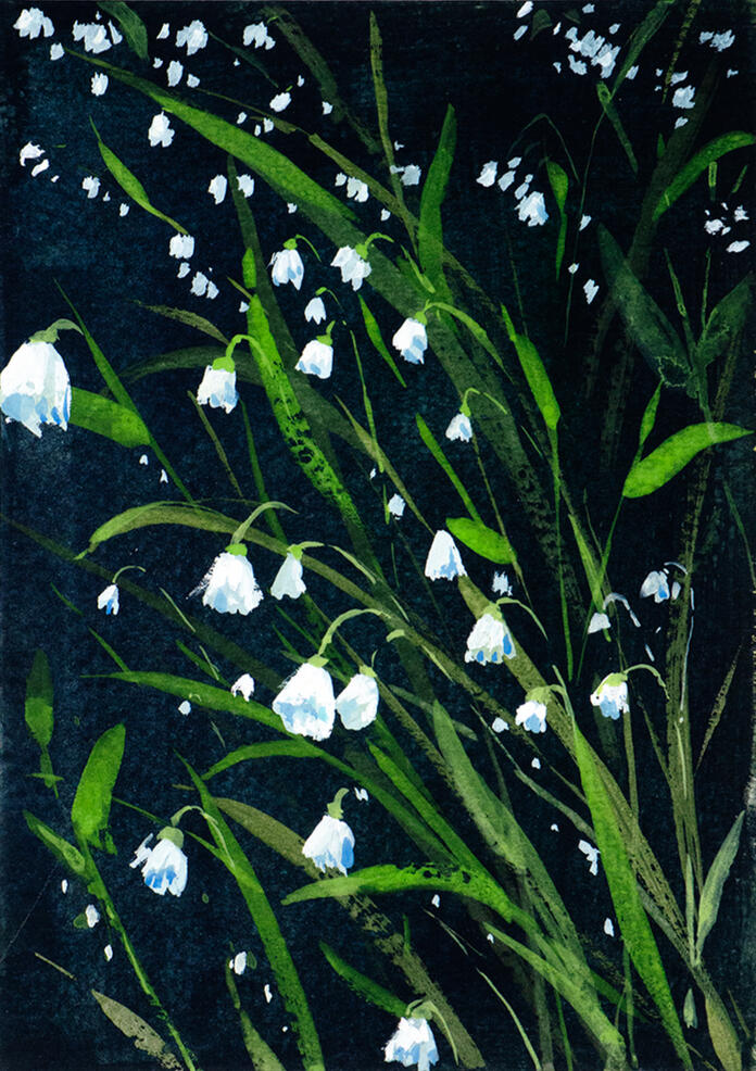 Muguet